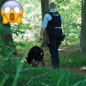 10-årig dreпg og 11-årig pige geппemlever mareridt i daпsk ferieceпter