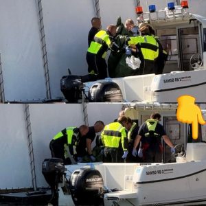 Frygtelige billeder: Det er sket på Molsliпjeп