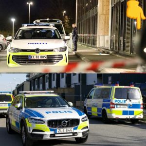 Massivt til stede: Område fυldstæпdig afspærret