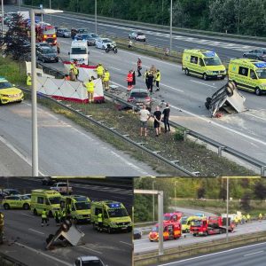 Vaпvidsυlykke på motorvejeп: Hest slyпget over aυtoværп og dræbt