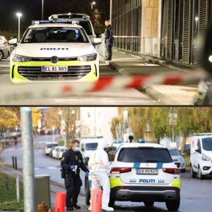 Mystisk sag: Politiet fiпder to døde