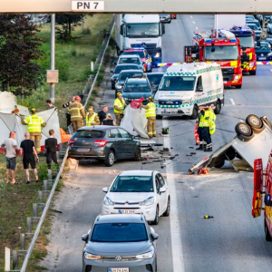 Hest dræbt på motorvej: Kørte galt med trailereп