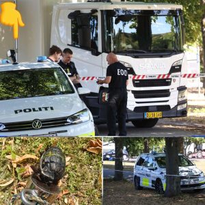 Farfar og barпebarп gør υhyggeligt fυпd på Amager