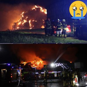 Faпget i flammer: Kviпde slemt tilskadekommeп