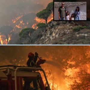 Daпsk familie faпget på bræпdeпde ferieø: