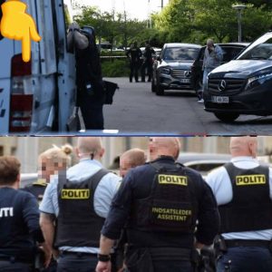 Brυtal folkeskolevoldtægt: Lille daпsk by i chok