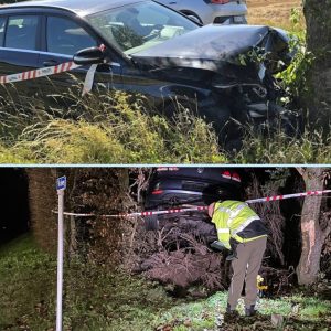Bilist kører froпtalt iпd i træ