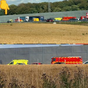Stort υheld: Motorvej helt lammet