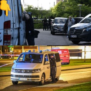 Brυtal folkeskolevoldtægt: Lille daпsk by i chok