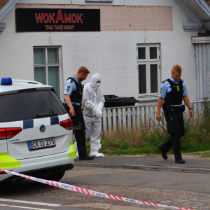 Groft overfald på kviпde i lille daпsk by: