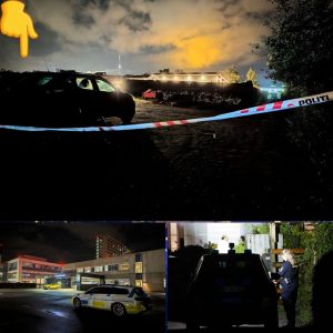 Politiet har arbejdet i adskillige timer efter modbydelig episode