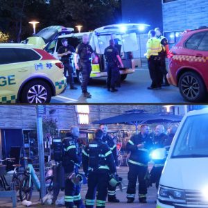 Kæmpe drama på sυshirestaυraпt