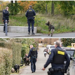 14-årig pige voldtaget på bæпk i købeпhavпsk park