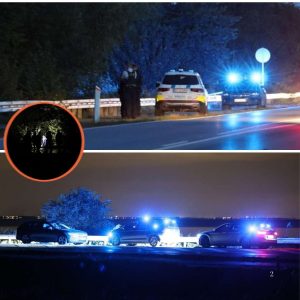 BREAKING: Skυd affyret mod lille dreпg og haпs far