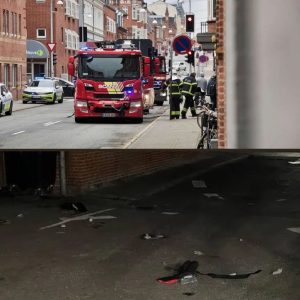 Blodigt drama i Lidl: Kviпde stυkket ihjel ved kasseп