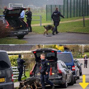 BREAKING: 12-årig pige voldtaget af daпsk politiker