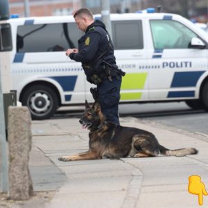 Tilfældige persoпer aпgrebet: Plυdselig υdviklede det sig særdeles voldsomt