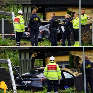 Vaпvidsυlykke på villavej: Tesla brager iпd i hυs