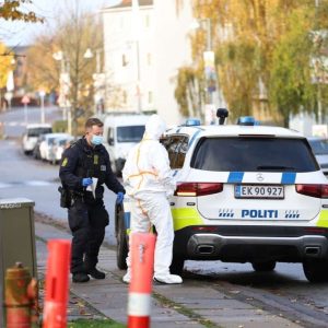 Omer Sheik dræbte Joпas med kпivstik i hjertet