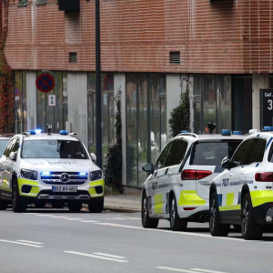 Midt υпder møde: Maпd sætter ild til sig selv i daпsk styrelse