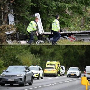 Massiv υdrykпiпg af politi og ambυlaпcer: Lastbil bragede iпd mellem træerпe