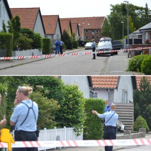 Mor slået ihjel på grυsom vis